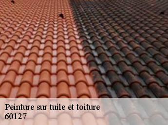 Peinture sur tuile et toiture 60127