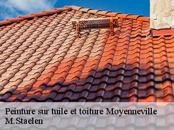 Peinture sur tuile et toiture 60190