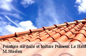 Peinture sur tuile et toiture puiseux-le-hauberger-60540 Cancy Couverture
