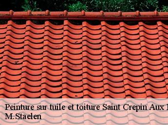 Peinture sur tuile et toiture