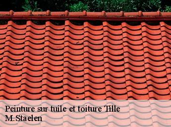 Peinture sur tuile et toiture