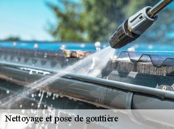 Nettoyage et pose de gouttière