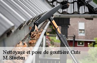 Nettoyage et pose de gouttière  cuts-60400 M.Staelen