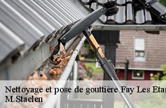 Nettoyage et pose de gouttière  fay-les-etangs-60240 M.Staelen