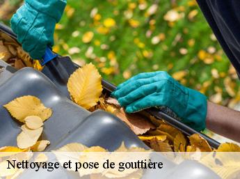 Nettoyage et pose de gouttière