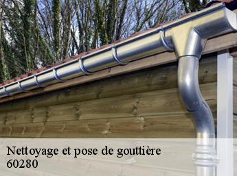 Nettoyage et pose de gouttière 60280