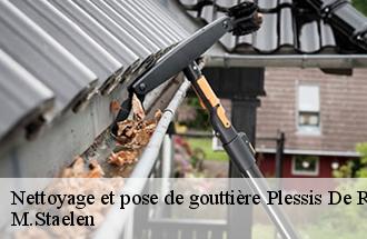 Nettoyage et pose de gouttière  plessis-de-roye-60310 M.Staelen