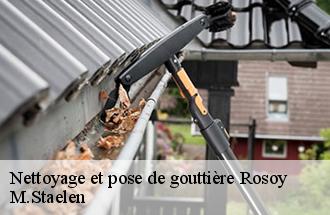 Nettoyage et pose de gouttière  rosoy-60140 M.Staelen