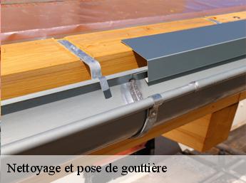 Nettoyage et pose de gouttière 60620