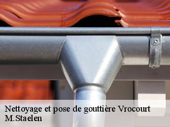 Nettoyage et pose de gouttière 60112
