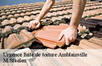 Urgence fuite de toiture  amblainville-60110 M.Staelen