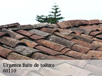 Urgence fuite de toiture  60110