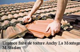 Urgence fuite de toiture  auchy-la-montagne-60360 M.Staelen