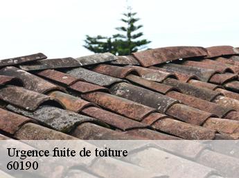 Urgence fuite de toiture 60190