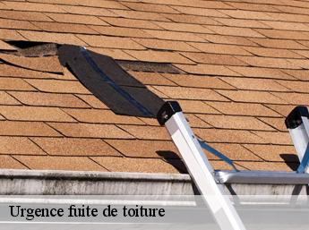 Urgence fuite de toiture 60190