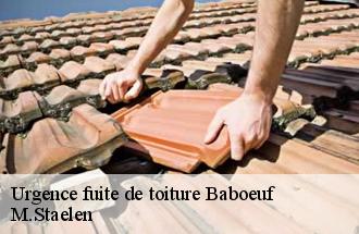 Urgence fuite de toiture  baboeuf-60400 M.Staelen