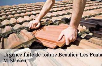 Urgence fuite de toiture  beaulieu-les-fontaines-60310 M.Staelen