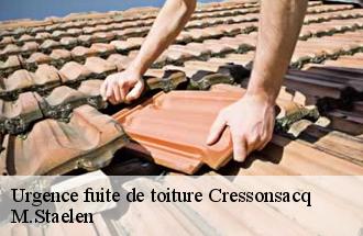 Urgence fuite de toiture  cressonsacq-60190 M.Staelen