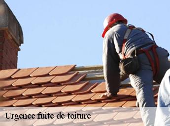 Urgence fuite de toiture