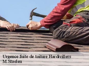 Urgence fuite de toiture 60120