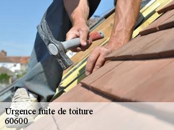 Urgence fuite de toiture