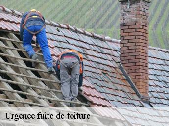 Urgence fuite de toiture