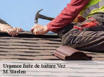 Urgence fuite de toiture 60117