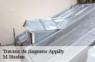 Travaux de zinguerie  appilly-60400 M.Staelen