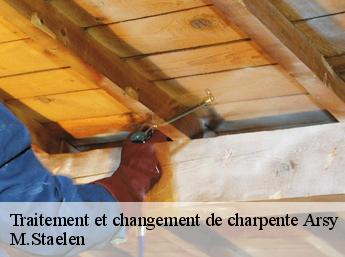 Traitement et changement de charpente