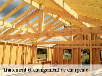 Traitement et changement de charpente