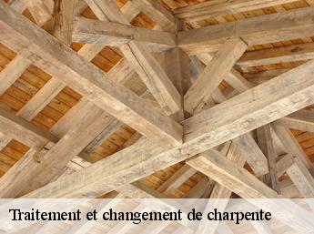 Traitement et changement de charpente