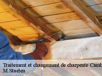 Traitement et changement de charpente