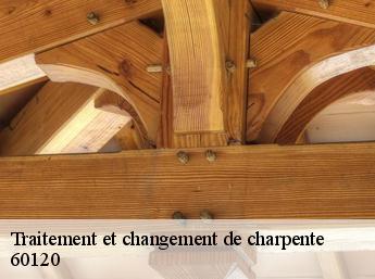 Traitement et changement de charpente 60120