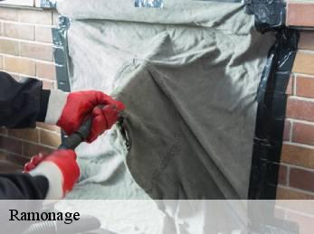 Ramonage 60490